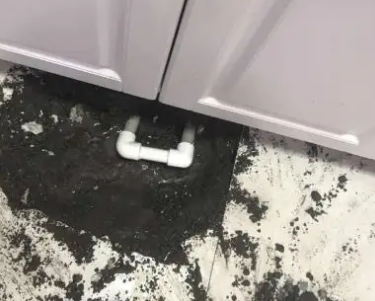 天元查漏水哪家好